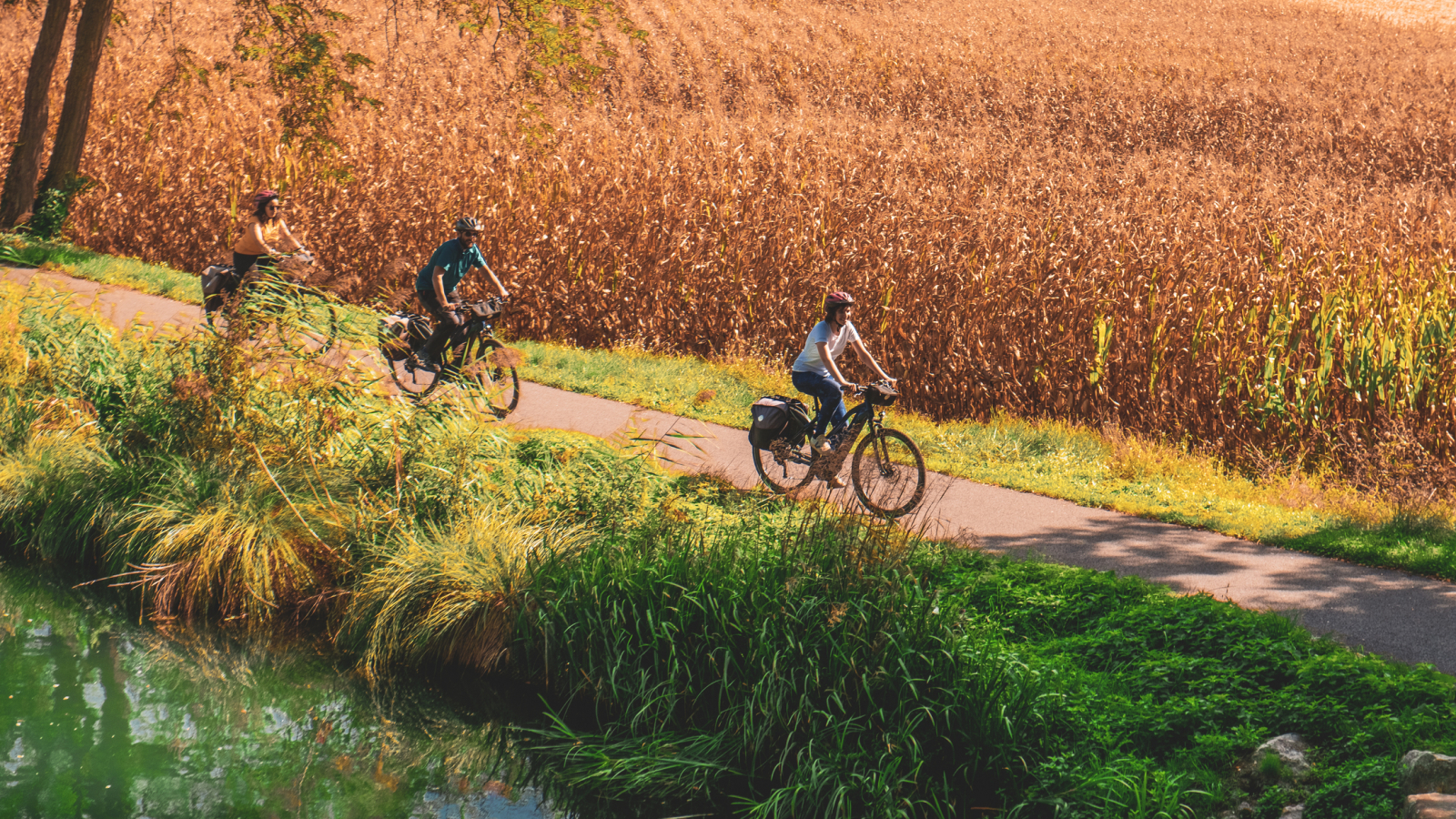 Véloroute du canal à Colmar