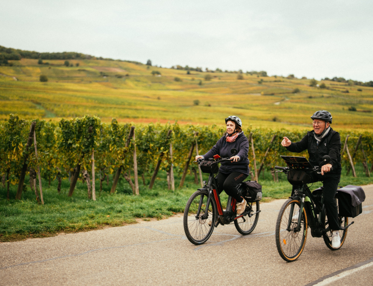 Véloroute du vignoble, Alsace