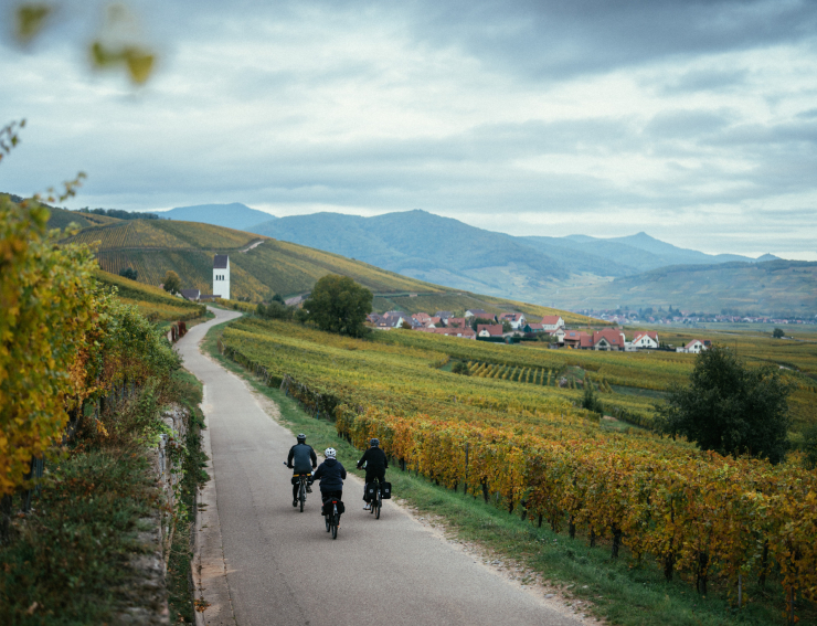 Véloroute du vignoble d'Alsace - EuroVélo5