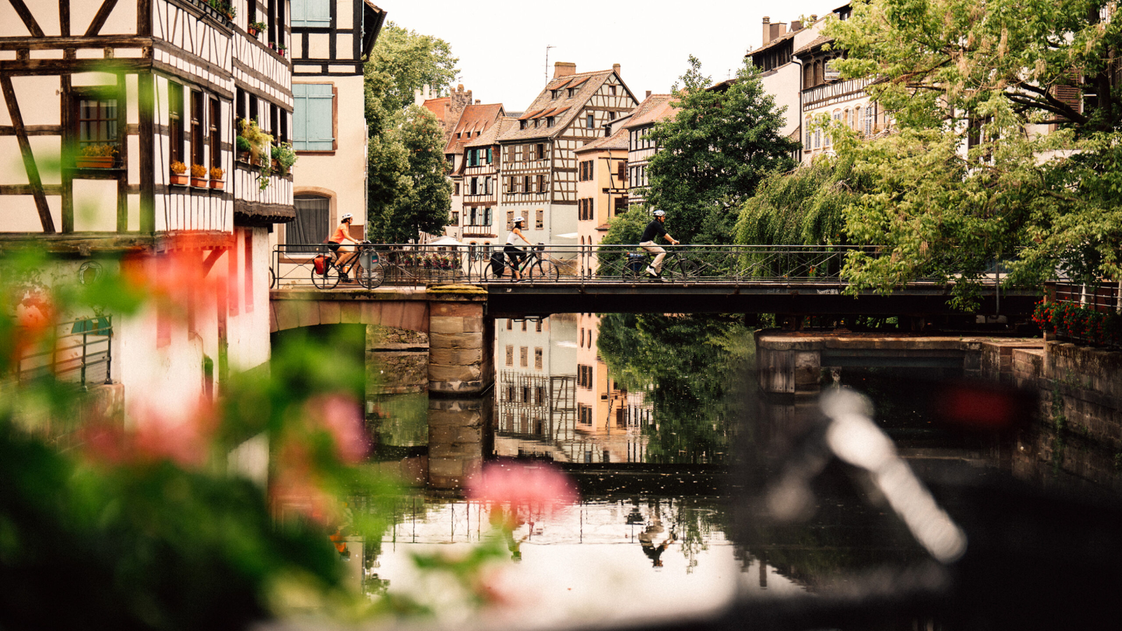 Alsace à Vélo