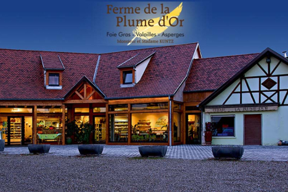 ©Ferme de la plume d'or