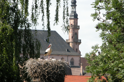 ©Office de Tourisme Région Molsheim-Mutzig