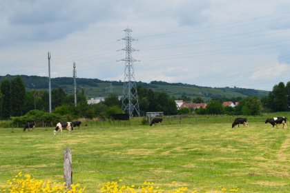 Office de Tourisme Région Molsheim-Mutzig