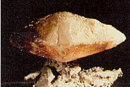 Cristal de calcite, Aachen, Rheinland<br>Photo: Bernard Braesch, Archives du musée, ULP