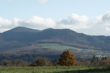 Office de Tourisme de la Vallée de Villé