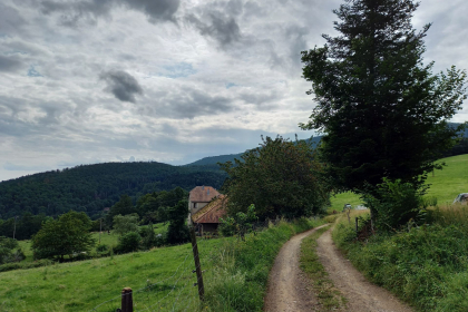 Bienvenue à la ferme - Ferme Didion