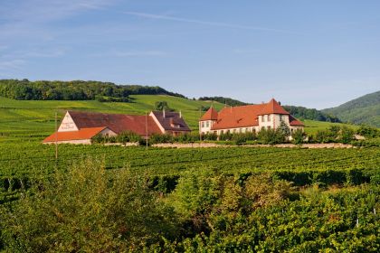 © Domaine du Bouxhof