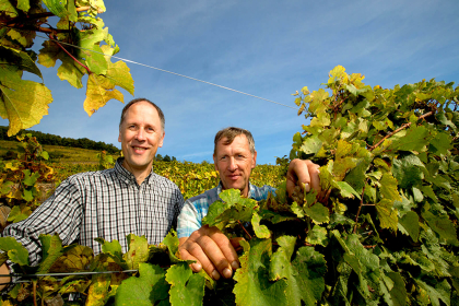 Domaine Blanck André et fils