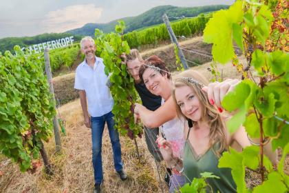 Domaine Léon Heitzmann