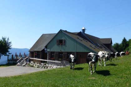 FERME AUBERGE DU GASCHNEY - VALLEE DE MUNSTER