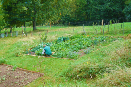 Les jardins de Beltaine