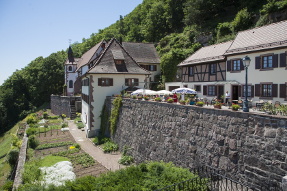 Panoramaweb_ Schauenberg, Pfaffenheim, Canton de Rouffach, Haut-Rhin, Alsace