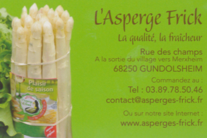 Asperge Frick, Gundolsheim, Canton de Rouffach, Haut-Rhin, Alsace