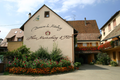 Domaine du Mittelburg, Pfaffenheim, Pays de Rouffach, Vignobles et Châteaux, Haut-Rhin, Alsace